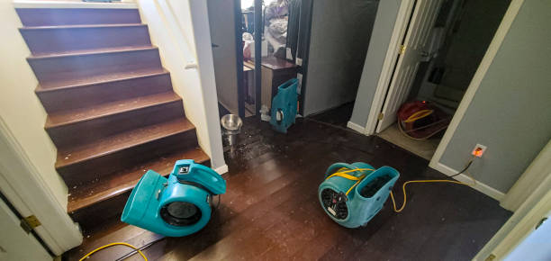Best Flood restoration services  in St Jaco, IL