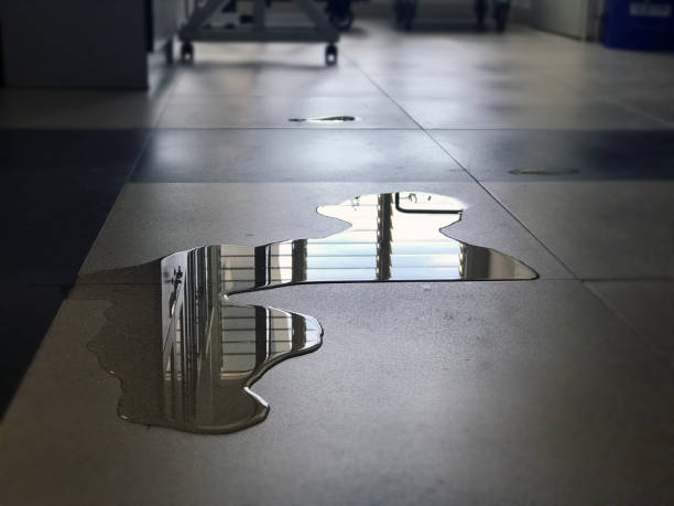 Best Commercial water damage restoration  in St Jaco, IL