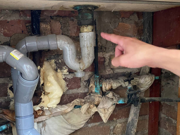  St Jaco, IL Water damage restoration Pros
